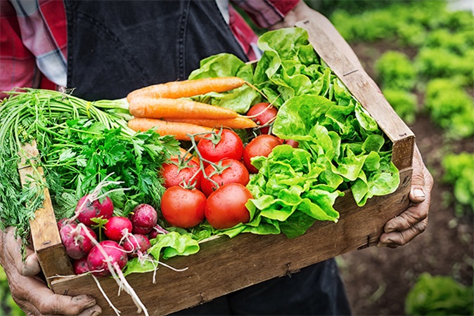 Gemüse & Salate online bestellen