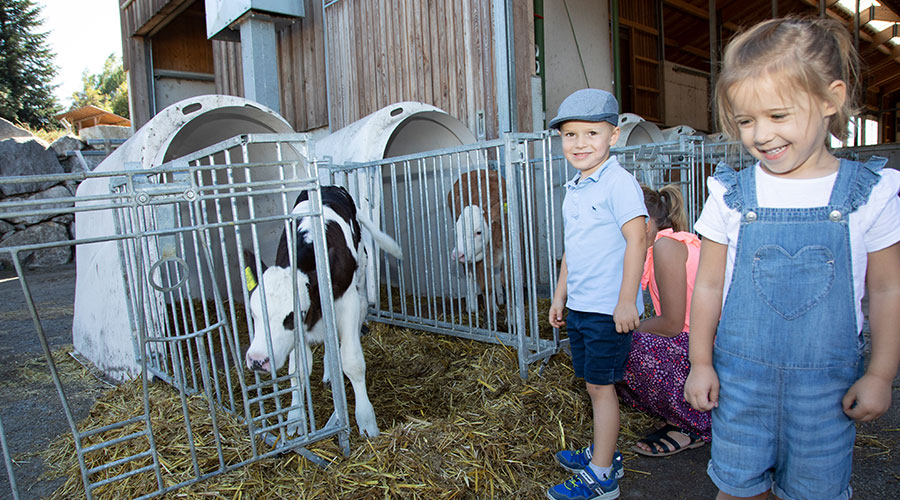Milch Ⓒ Ben Leitner