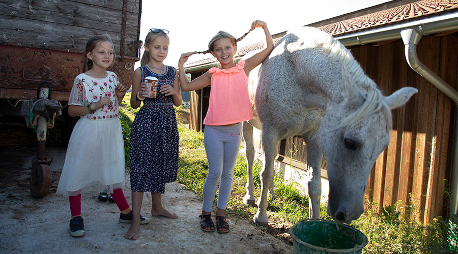 Milch Ⓒ Ben Leitner