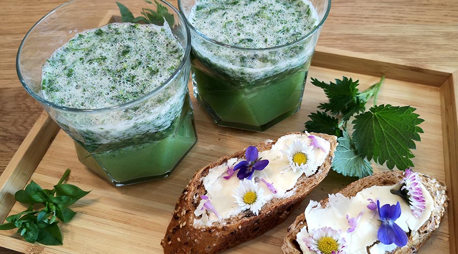 Grüner Wildkräuter Smoothie und Blütenbrote